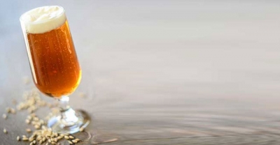 PINTA - Ricetta birra all grain e+g Australian Pale Ale 