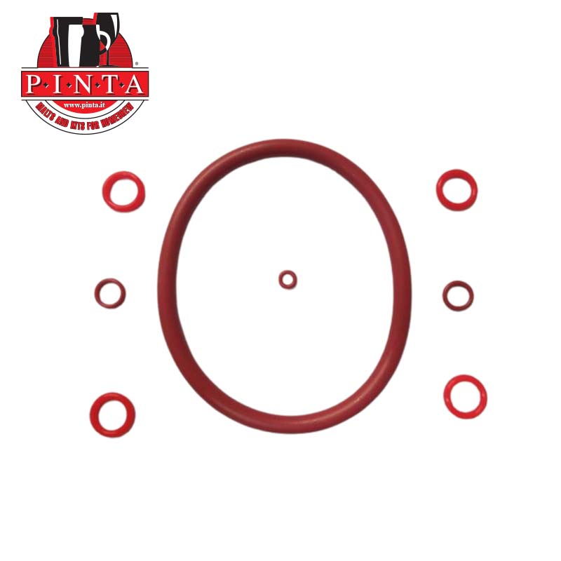 Cornelius Keg gasket set (8 pcs)