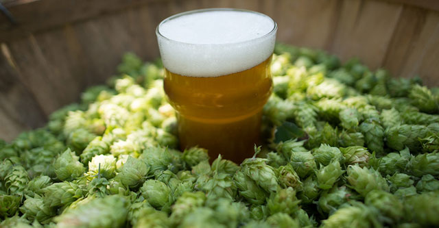 Recipe for hopped malt Session Ipa