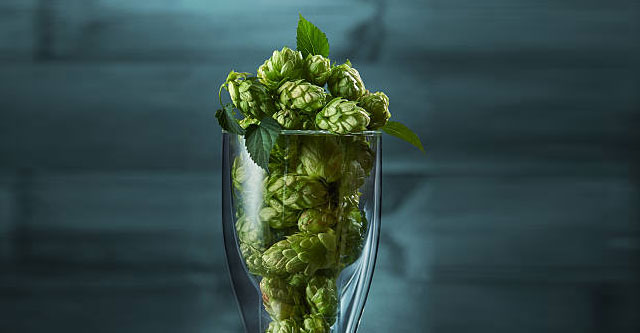 The New Zealand hops which are and how to use them?