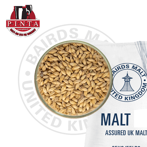 PINTA Malt Best Pale ale Bairds 25 kg
