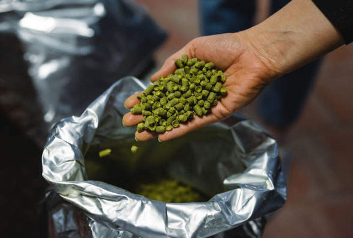 THE HOPS WEEK