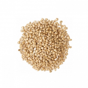 Malto in grani Torrefied Wheat kg.25