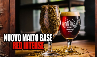 PINTA - NUOVO MALTO BASE RED INTENSE