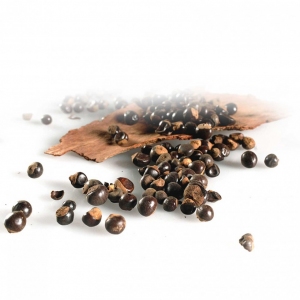 Guarana - Dried seeds gr. 250