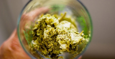 PINTA - What is it and how does the Dry Hopping?